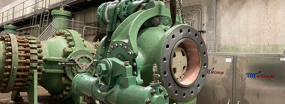 Manutenzione valvole